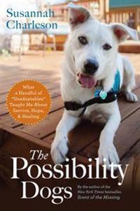 The Possibility Dogs: What a Handful of 