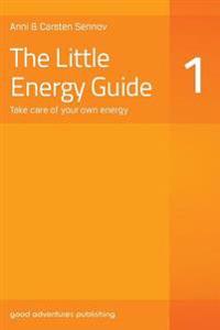 The Little Energy Guide