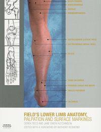 Lower Limb Anatomy, Palpation and Surface Markings