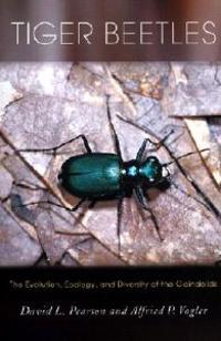 Tiger Beetles