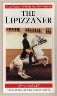 Lipizzaner
