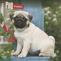 Pug Puppies 2014 Wall Calendar