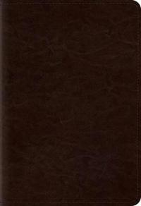 Pocket New Testament with Psalms and Proverbs-ESV