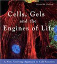 Cells, Gels and the Engines of Life: A New, Unifying Approach to Cell Funct