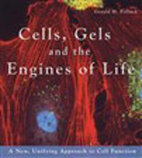 Cells, Gels and the Engines of Life: A New, Unifying Approach to Cell Funct