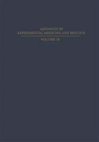 Hg2: A Hedonist's Guide to New York