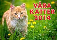 Våra katter 2014