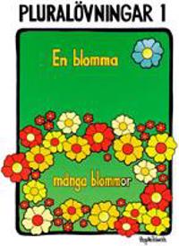 Pluralövningar 1