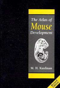 The Atlas of the Mouse Development