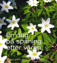 En dag på spaning efter våren