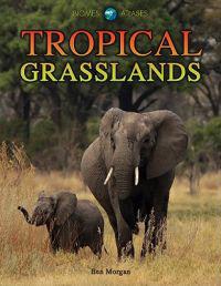 Tropical Grasslands
