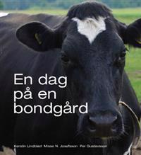En dag på en bondgård