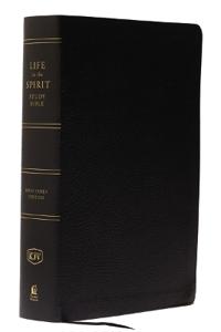 Life in the Spirit Study Bible