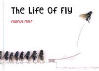 The Life of Fly