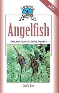 Angelfish: Understanding and Keeping Angelfish