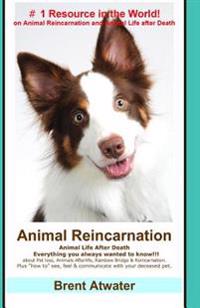 Animal Reincarnation: Everything You Always Wanted to Know! about Pet Reincarnation Plus 
