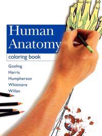 Human Anatomy Coloring