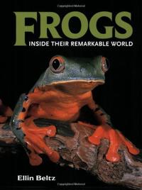 Frogs