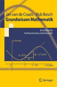 Grundwissen Mathematik: Ein Vorkurs Fur Fachhochschule Und Universitat
