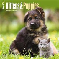 Kittens & Puppies 2014 Wall Calendar