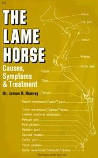 Lame Horse: Causes, Symptoms and Treatment