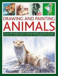Drawing and Painting Animals