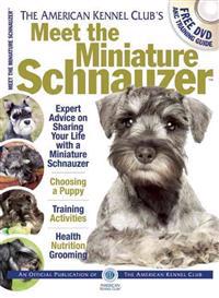 Meet the Miniature Schnauzer