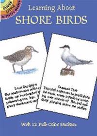 Learning About Shore Birds