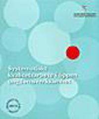 Systematiskt kvalitetsarbete i öppen ungdomsverksamhet