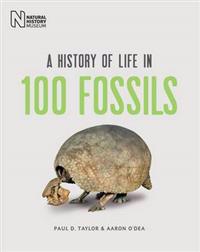 A History of Life in 100 Fossils