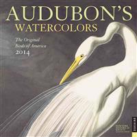 Audubon Watercolors 2014 Wall Calendar