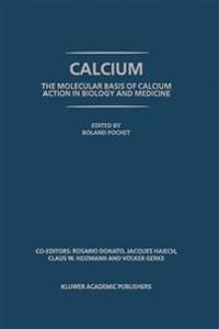 A Human Being Died That Night