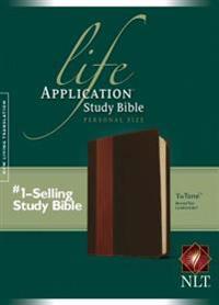 Life Application Study Bible