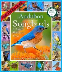Audubon Songbirds & Other Backyard Birds Calendar