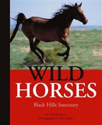 Wild Horses: Black Hills Sanctuary