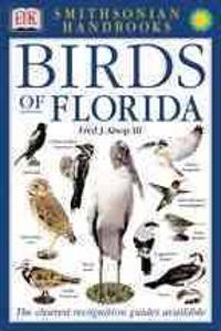 Birds of Florida