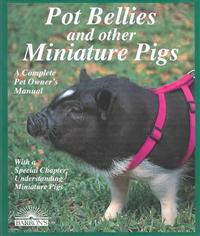 Pot Bellies and Miniature Pigs