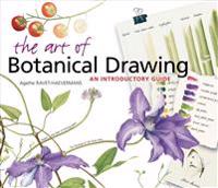 The Art of Botanical Drawing: An Introductory Guide