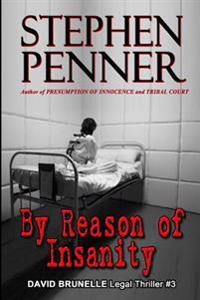 By Reason of Insanity: David Brunelle Legal Thriller #3