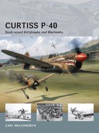 Curtiss P-40 - Snub-nosed Kittyhawks and Warhawks