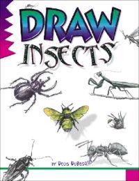 Draw Insects