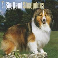 Shetland Sheepdogs 2014 Wall Calendar