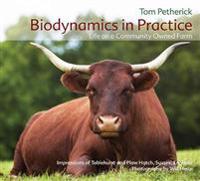 Pinchas Pocket - Hungary