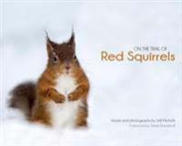 On the Trail of Red Squirrels