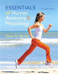 Essentials of Human Anatomy & Physiology Plus Masteringa&p with Etext -- Access Card Package