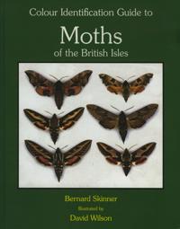 Colour Identification Guide to Moths of the British Isles