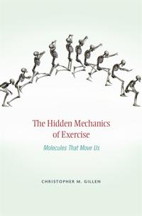 The Hidden Mechanics of Exercise