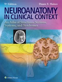 Neuroanatomy in Clinical Context: An Atlas of Structures, Sections, Systems, and Syndromes