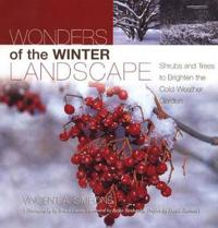 Wonders of the Winter Landscape