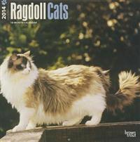 Ragdoll Cats 2014 Wall Calendar